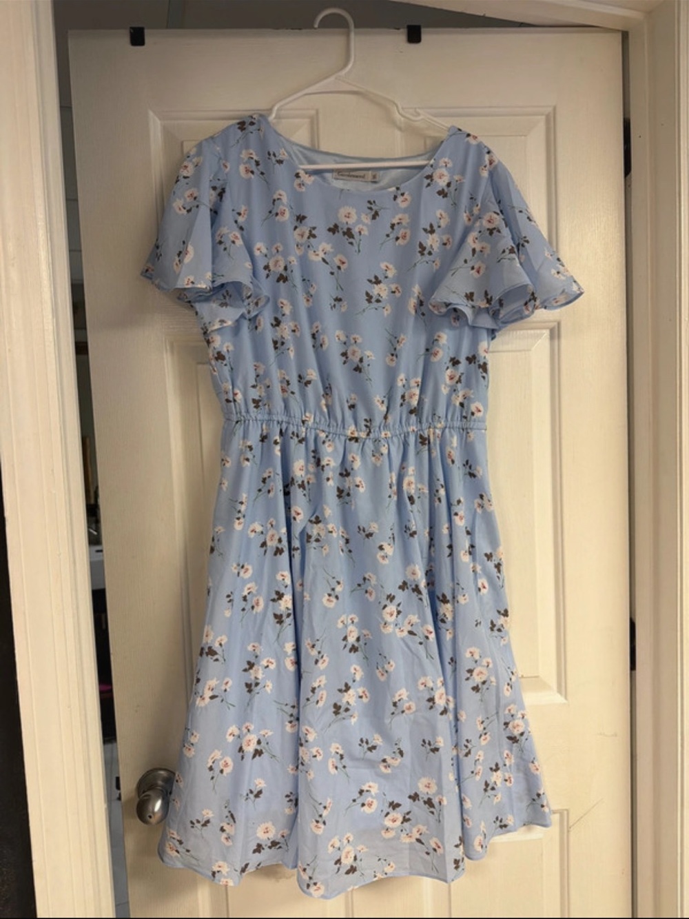 Light Blue Floral woman’s chiffon Dress with Flutter Sleeves